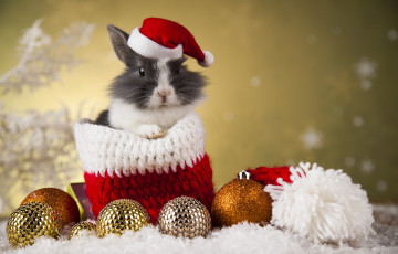 С Наступающим Новым Годом!